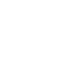 Whatsapp icon